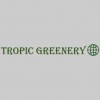 Tropic Greenery