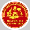 Towne Tree & Landscaping