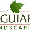 Aguiar's Landscaping