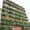 Vertical Garden Solutions