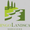 Domingo Landscaping