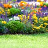 Staley Lawncare & Landscaping