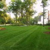 Cincinnati Landscaping