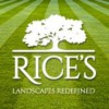 Rice's