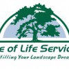 Tree Of Life Services