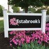 Estabrook's