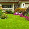 Elite Landscape Management