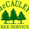 McCauley Tree & Landscaping Services