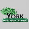 York Landscaping & Tree Service