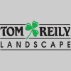 Tom Reily Landscape