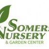 Somerset Nursery