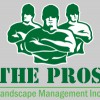 The Pros Landscape Management