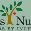 Inches Nursery