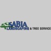 Sabia Landscaping & Tree Service