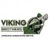 Viking Brothers