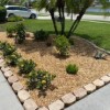 Landscaping On A Budget