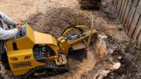 Stump Removal and Stump Grinding Services