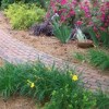 Evergreen Enterprises Landscaping